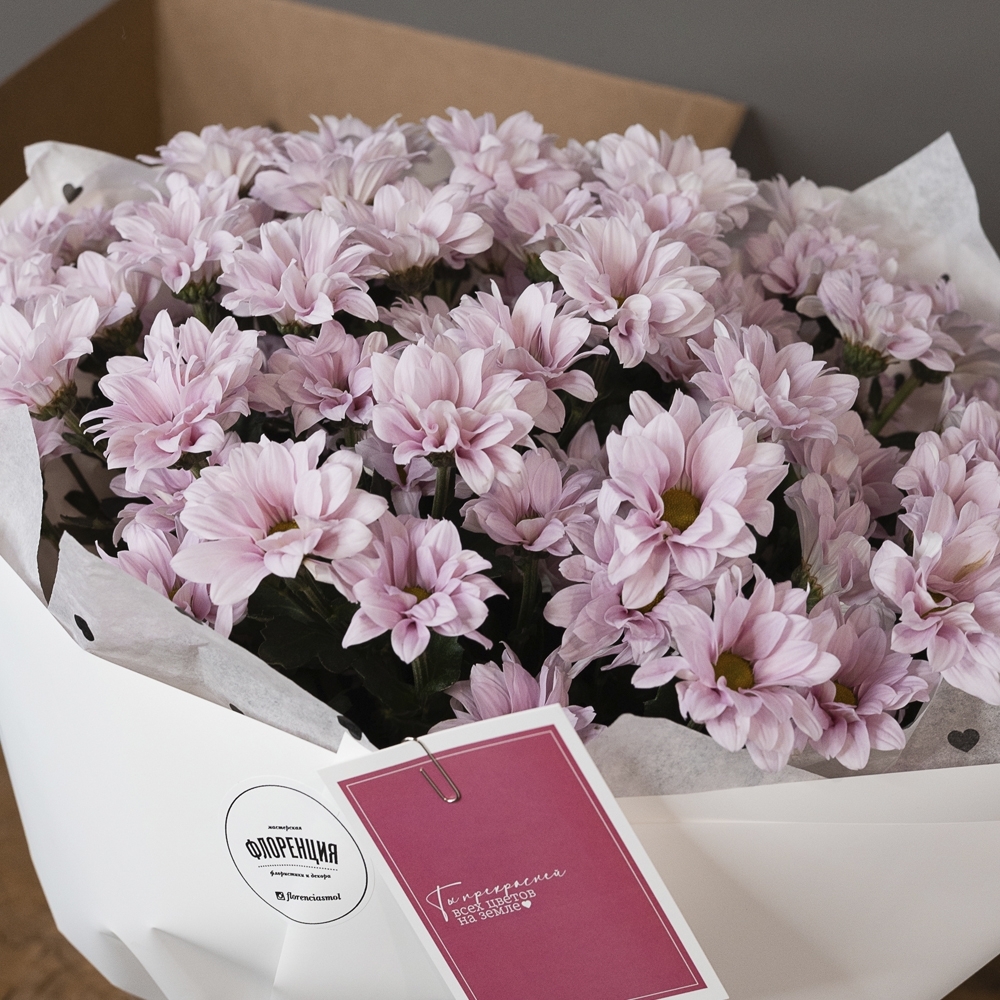 Букет - 109 Пышный букет розовых ромашковых хризантем