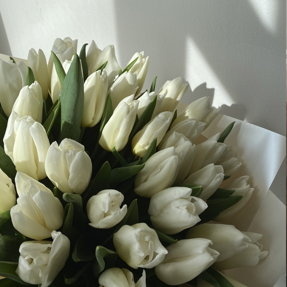 Весна #29 Букет белых тюльпанов 51 шт